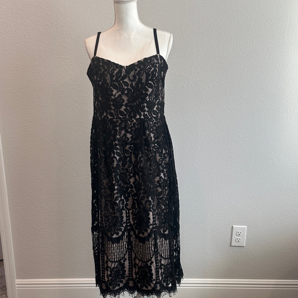 City Chic Black and Cream Lace Detail Dress